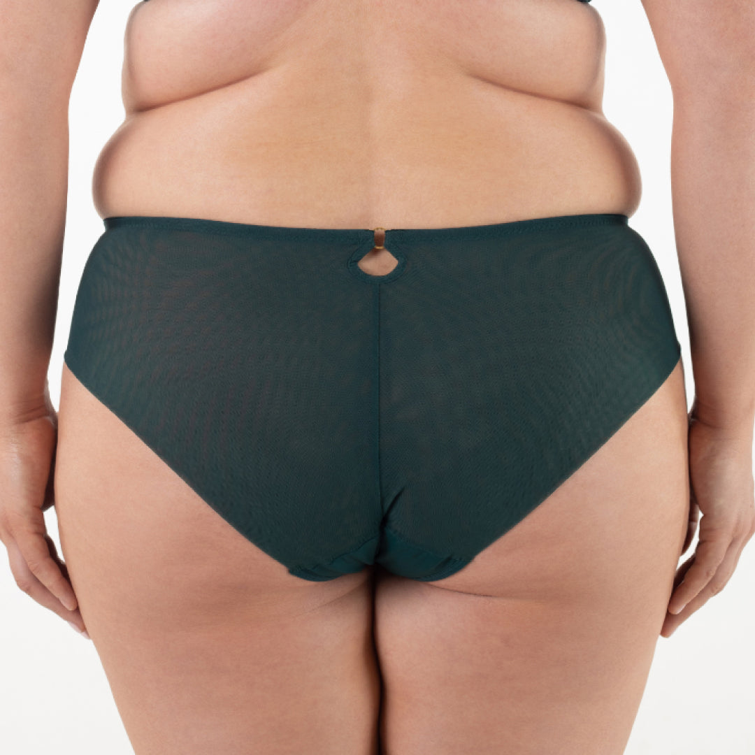 Sheer Mesh Tulle Embroidered Brief Panty Boobie Emerald-1
