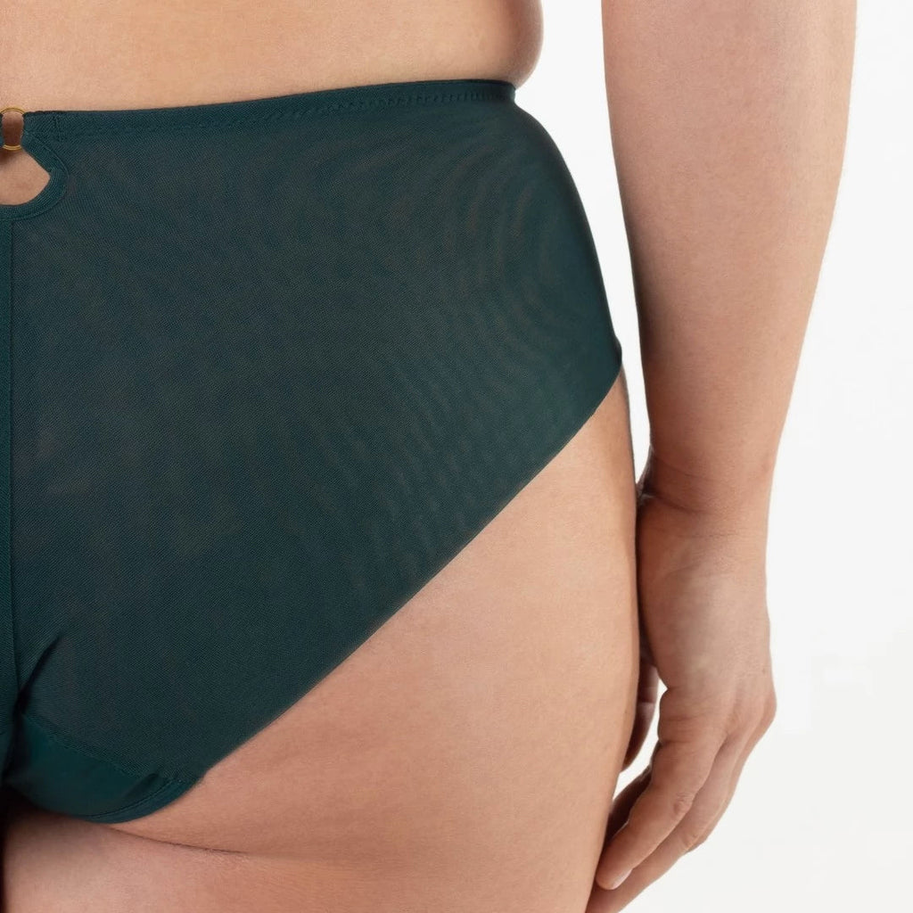 Sheer Mesh Tulle Embroidered Brief Panty Boobie Emerald-4