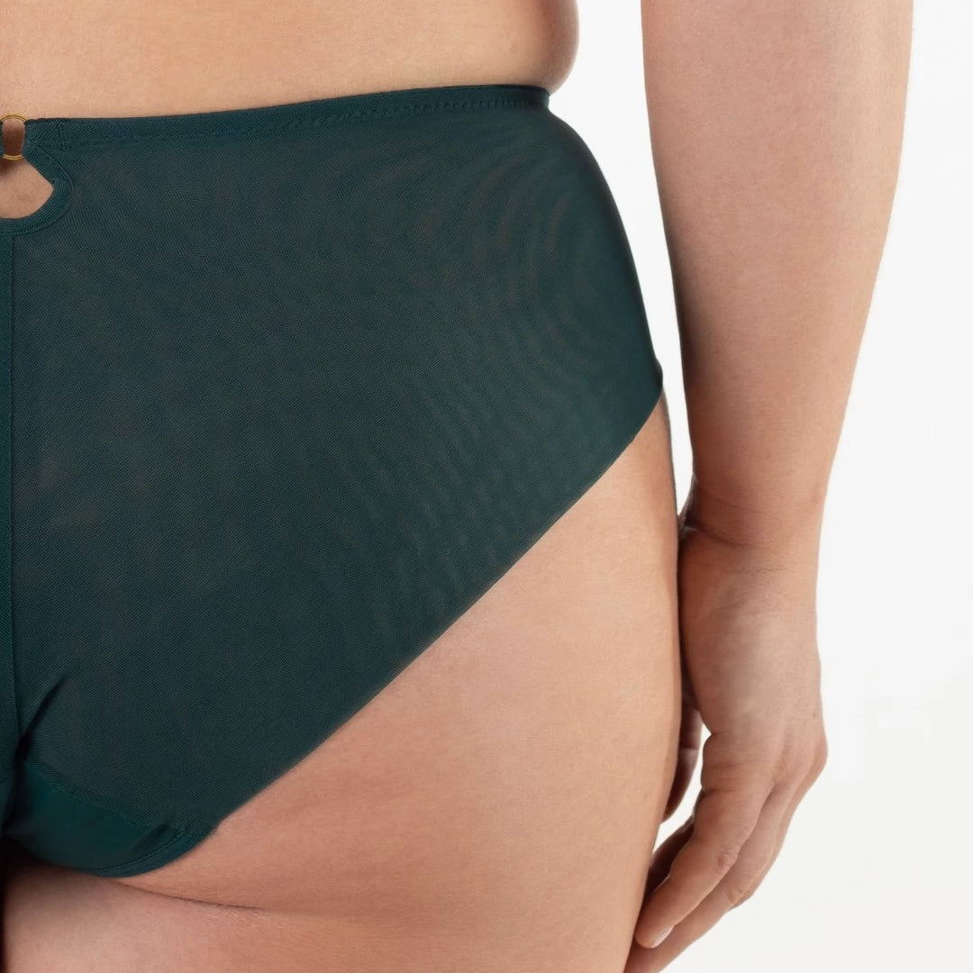 Sheer Mesh Tulle Embroidered Brief Panty Boobie Emerald-4
