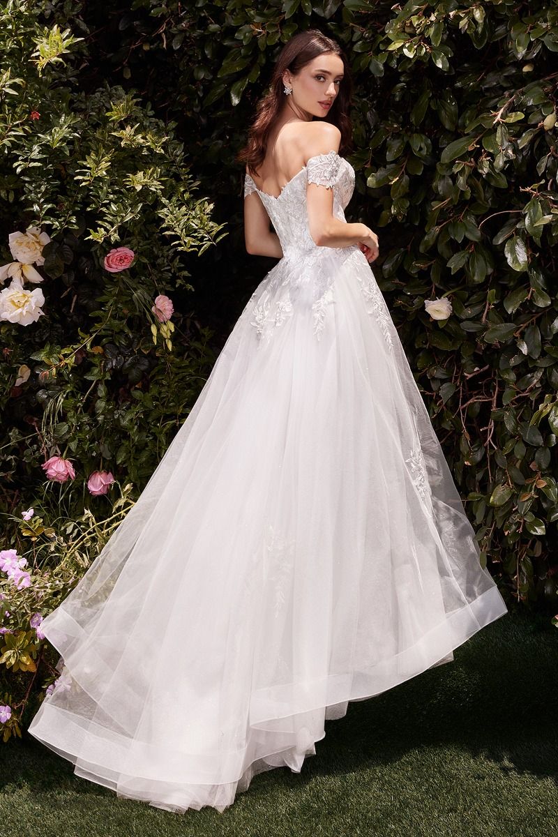 Off The Shoulder A-Line Lace & Tulle Wedding Dress-3