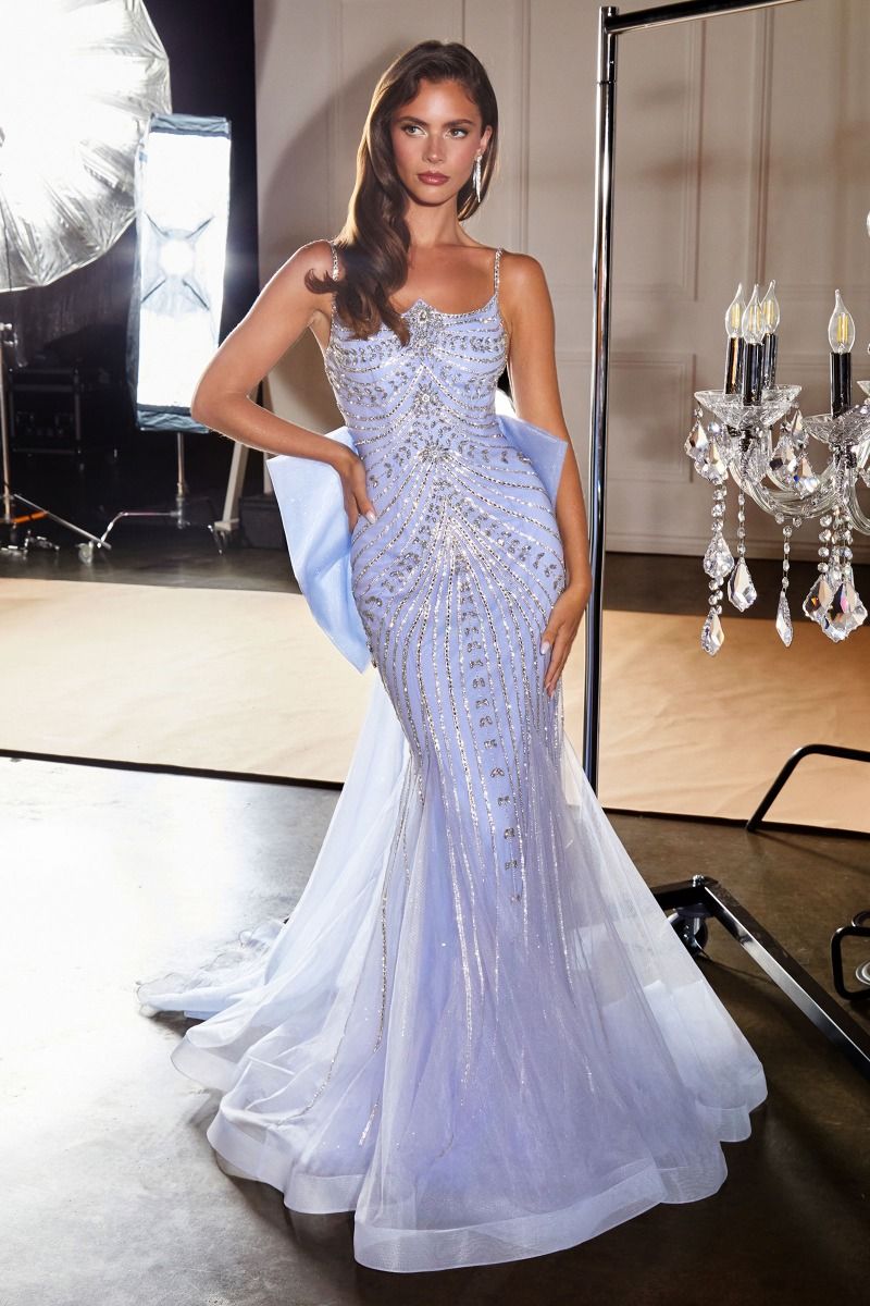 Metallic Crystal Fitted Dress-5