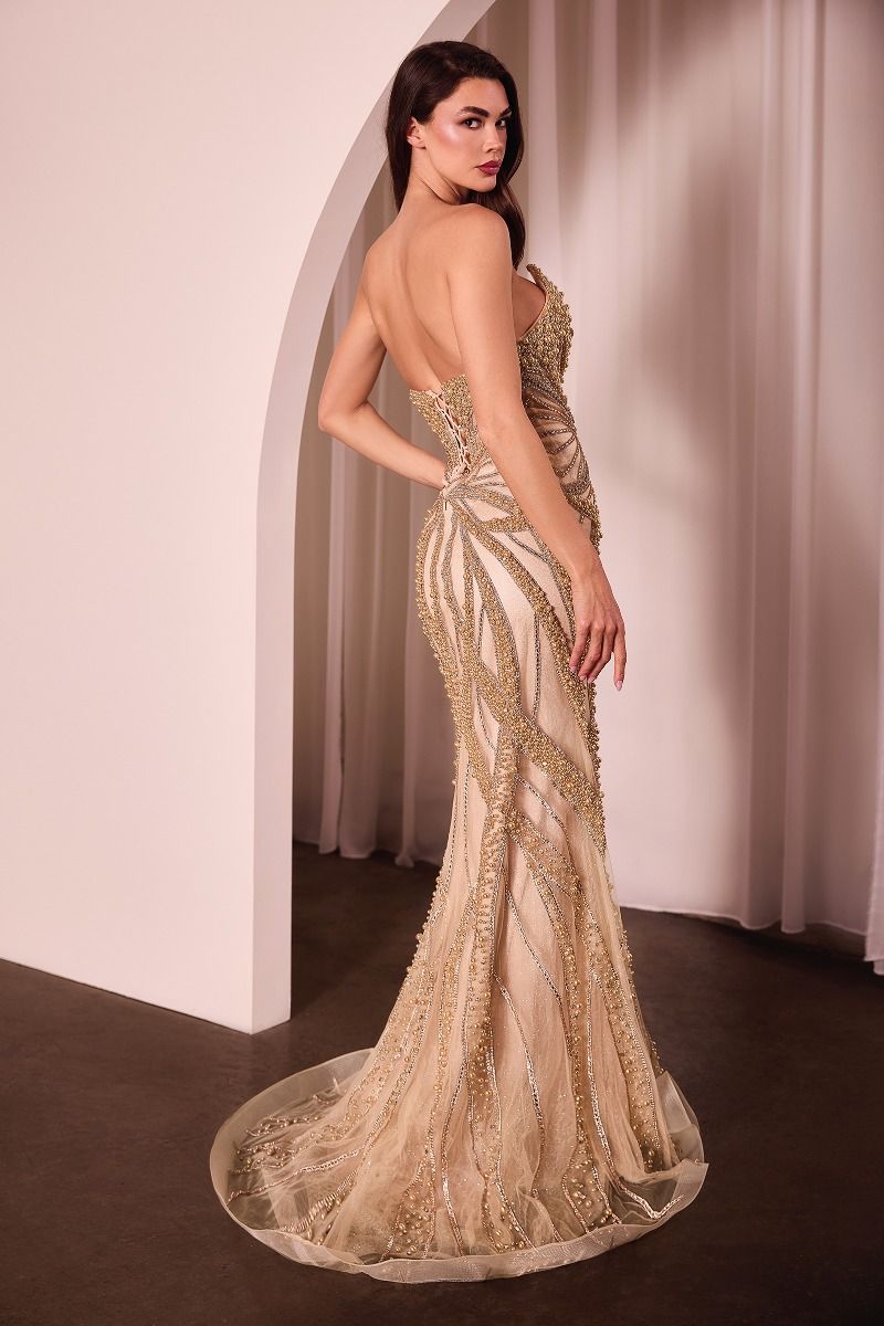 Pearl & Crystal Strapless Fitted Dress-3