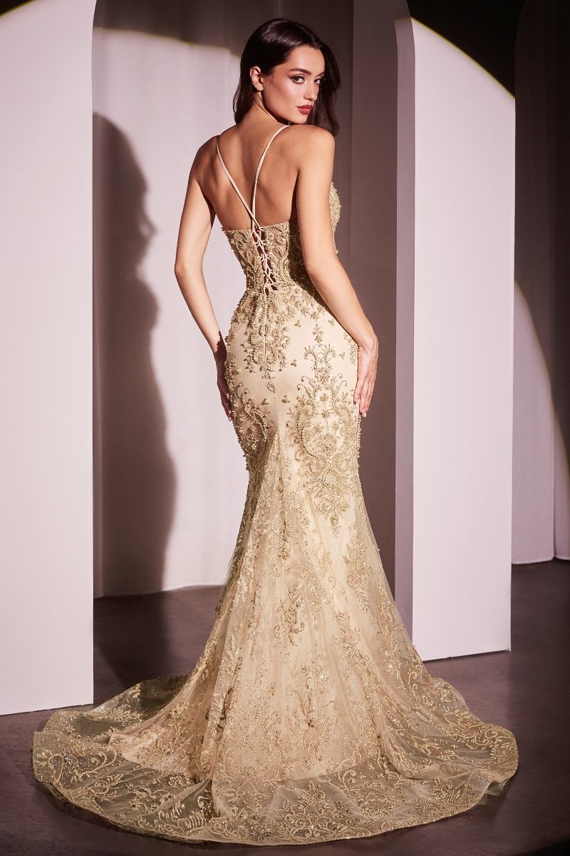 Pearl & Lace Embellished Fit & Flar Gown-2