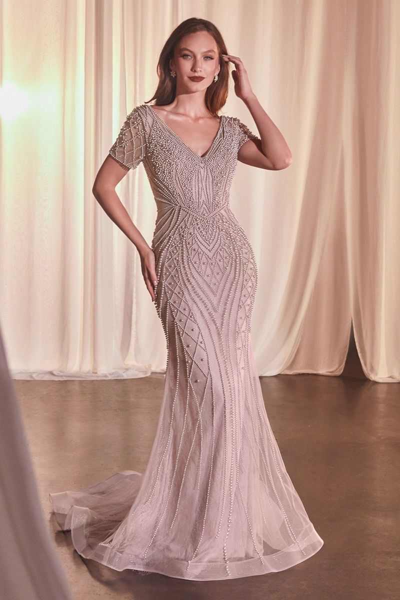 Short Sleeve Beaded Fit & Flare Gown-4