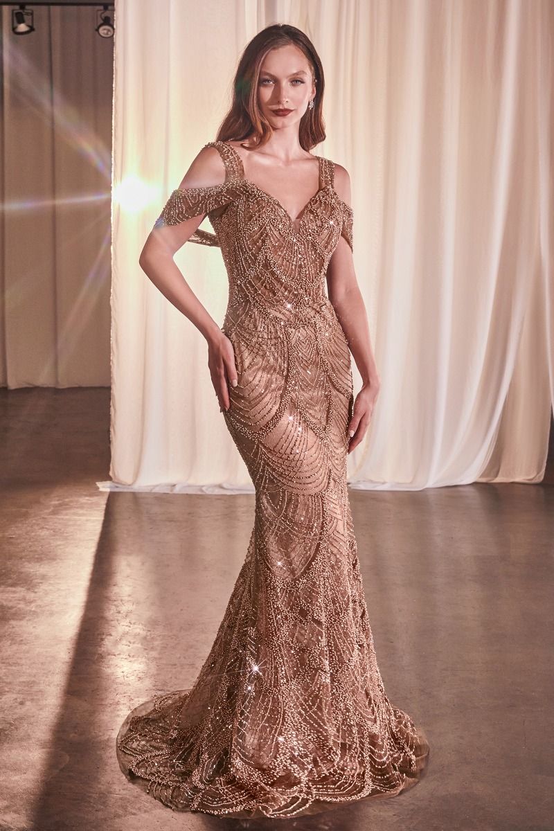 Fully Embellished Fit & Flare Gown-1