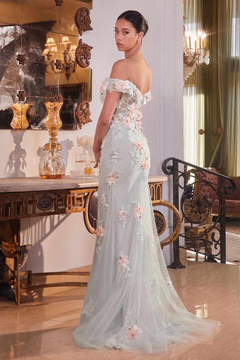 Off The Shoulder Floral Applique Gown-2