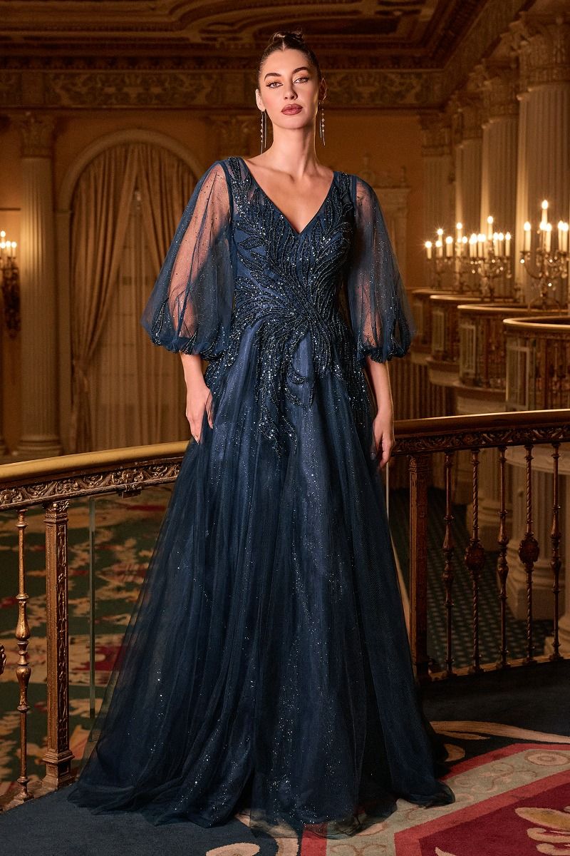 Long Sleeve A-Line Tulle Evening Gown with Embellished Appliqué Bodice-0