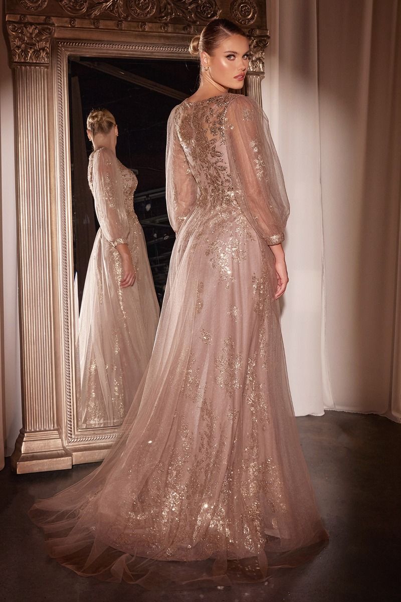 Long Sleeve Layered Tulle A-Line Gown-1