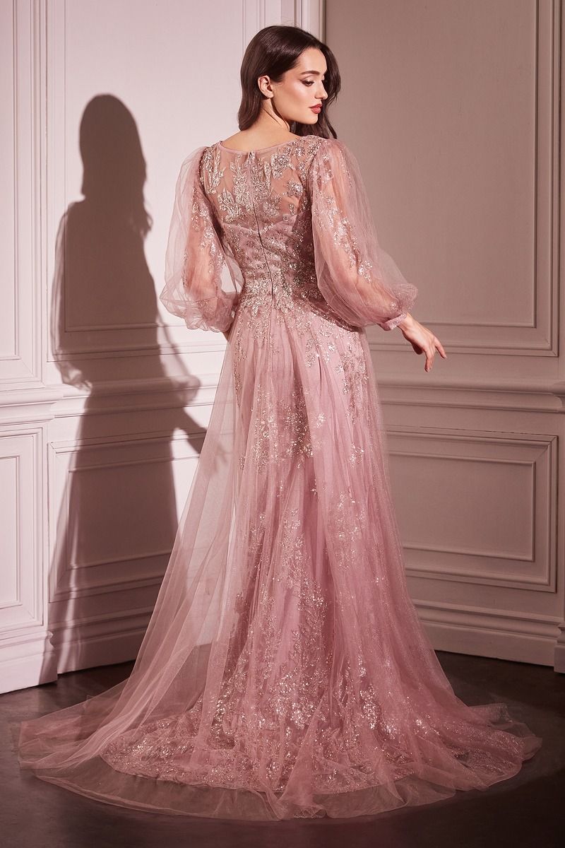 Long Sleeve Layered Tulle A-Line Gown-4