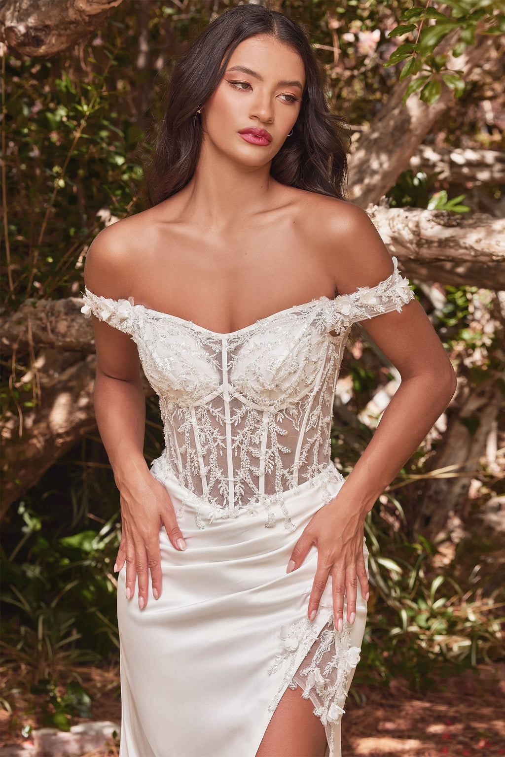 Off The Shoulder Lace Bodice Fitted Gown-0