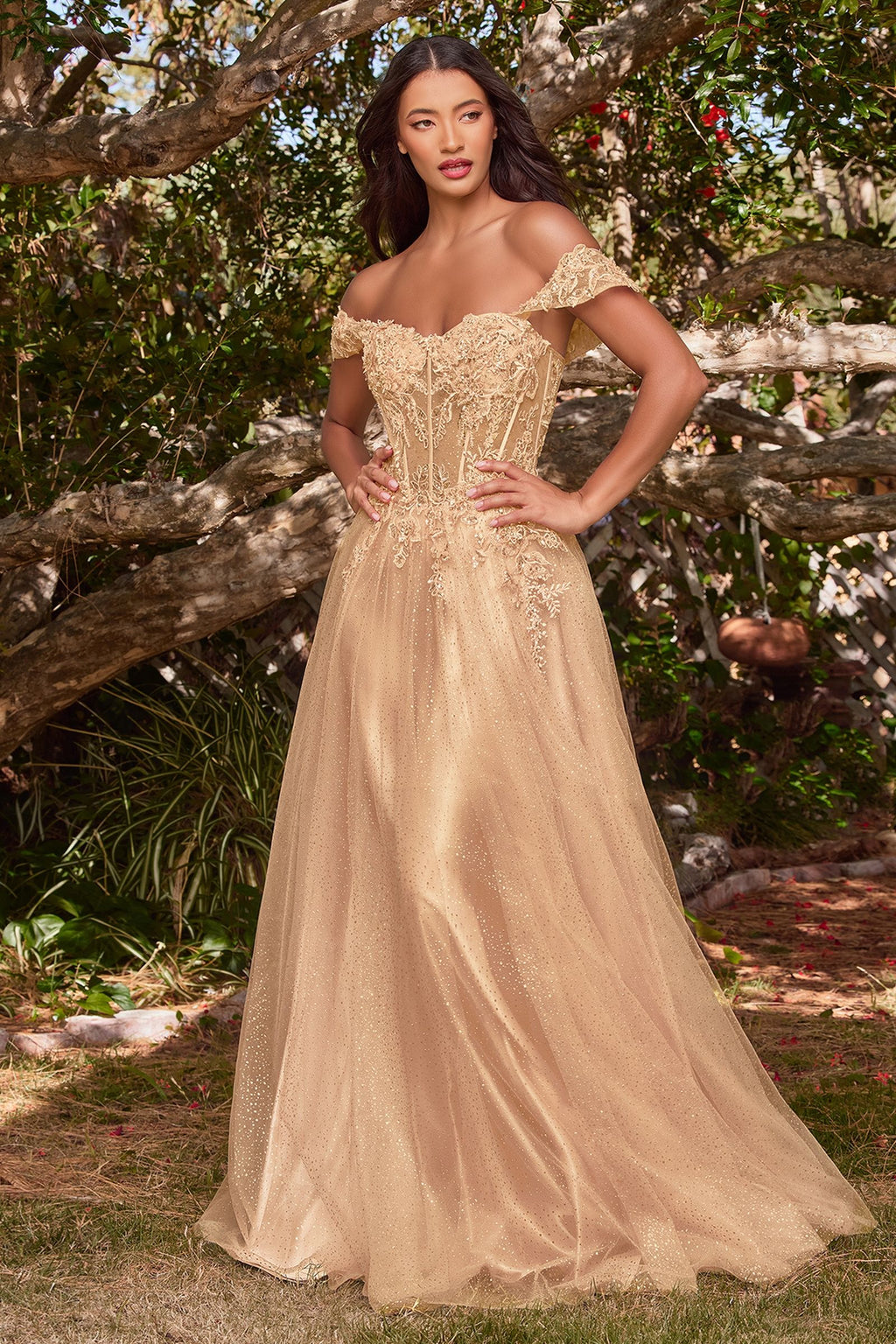 Lace A-Line Gown With Off The Shoulder Sleeves-5