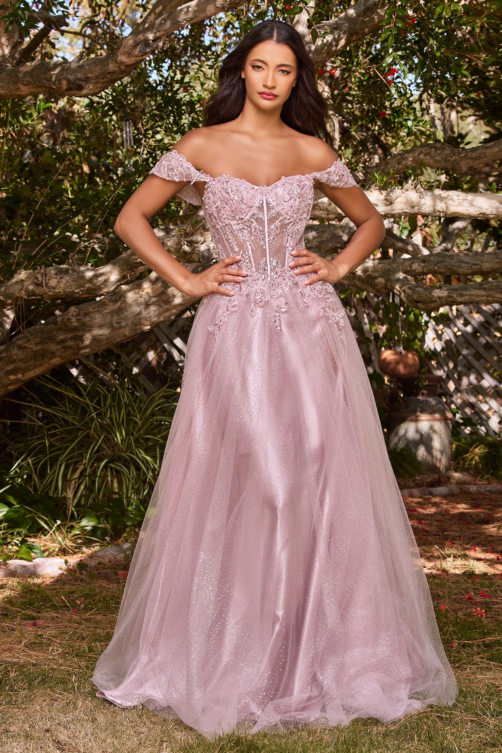 Lace A-Line Gown With Off The Shoulder Sleeves-6