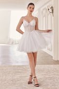 Short A-Line Tulle Dress-3