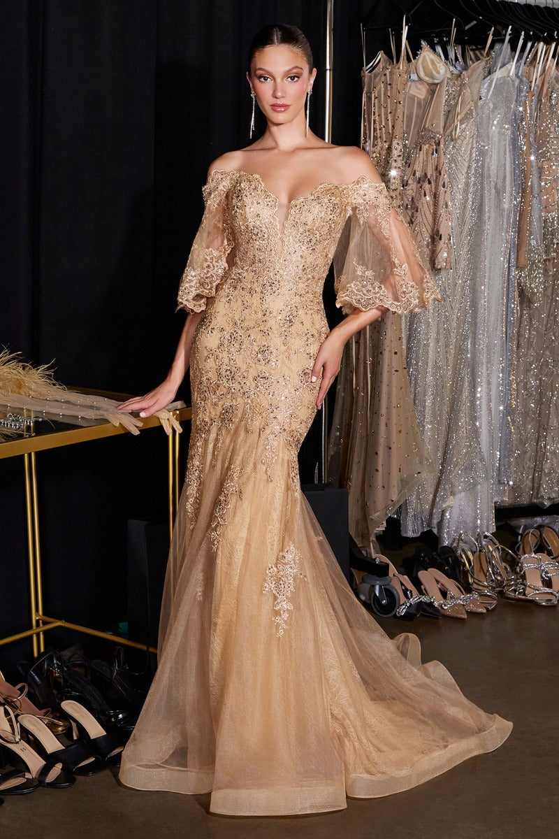 Fitted Lace Mermaid Gown With Bell Sleeves-1