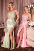 Crystal & Satin Fitted Dress-4