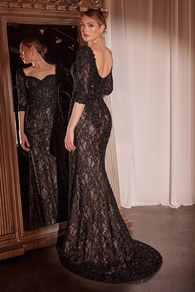 Lone Sleeve Lace Fitted Dress & Overskirt-2