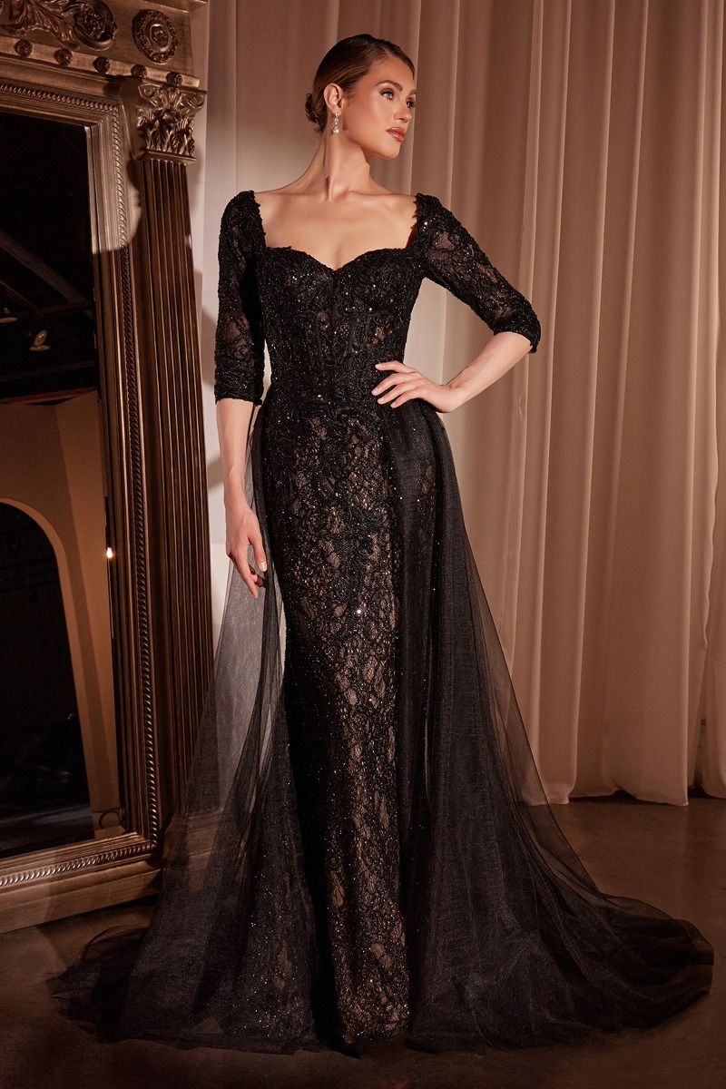 Lone Sleeve Lace Fitted Dress & Overskirt-4