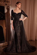 Lone Sleeve Lace Fitted Dress & Overskirt-4