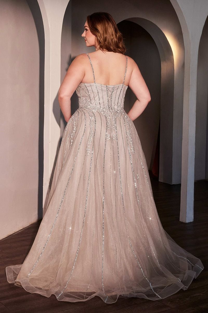 A-Line Layered Tulle Plus Size Dress-2