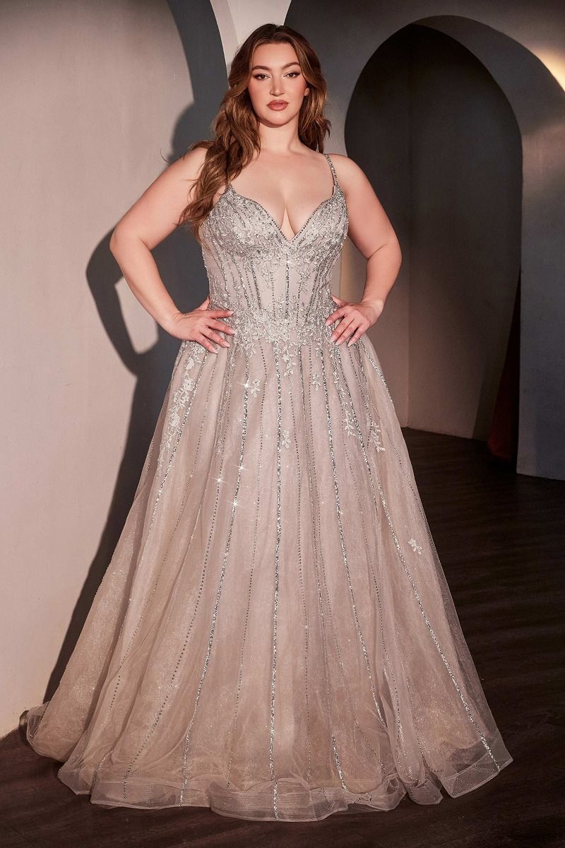 A-Line Layered Tulle Plus Size Dress-3
