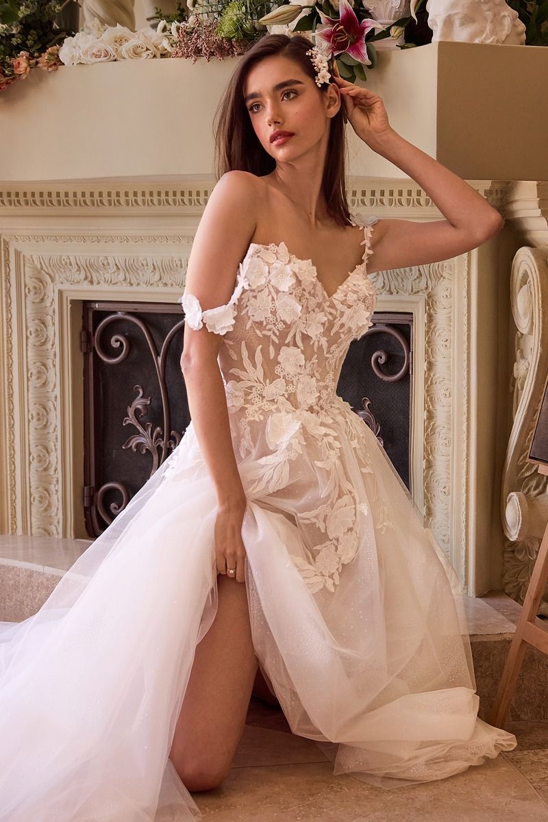 Lace Appliqued A-Line Tule Wedding Dress-3
