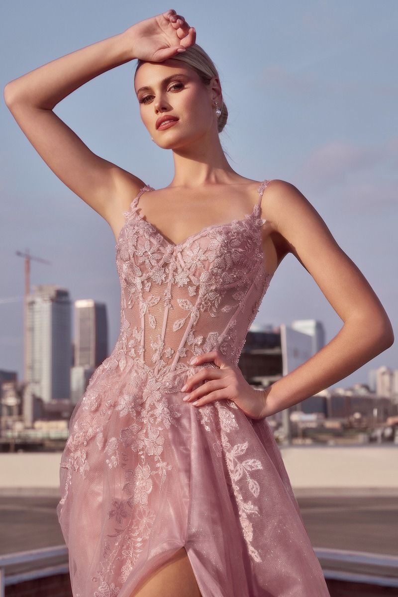 Mauve A-Line Layered Tulle Dress-1