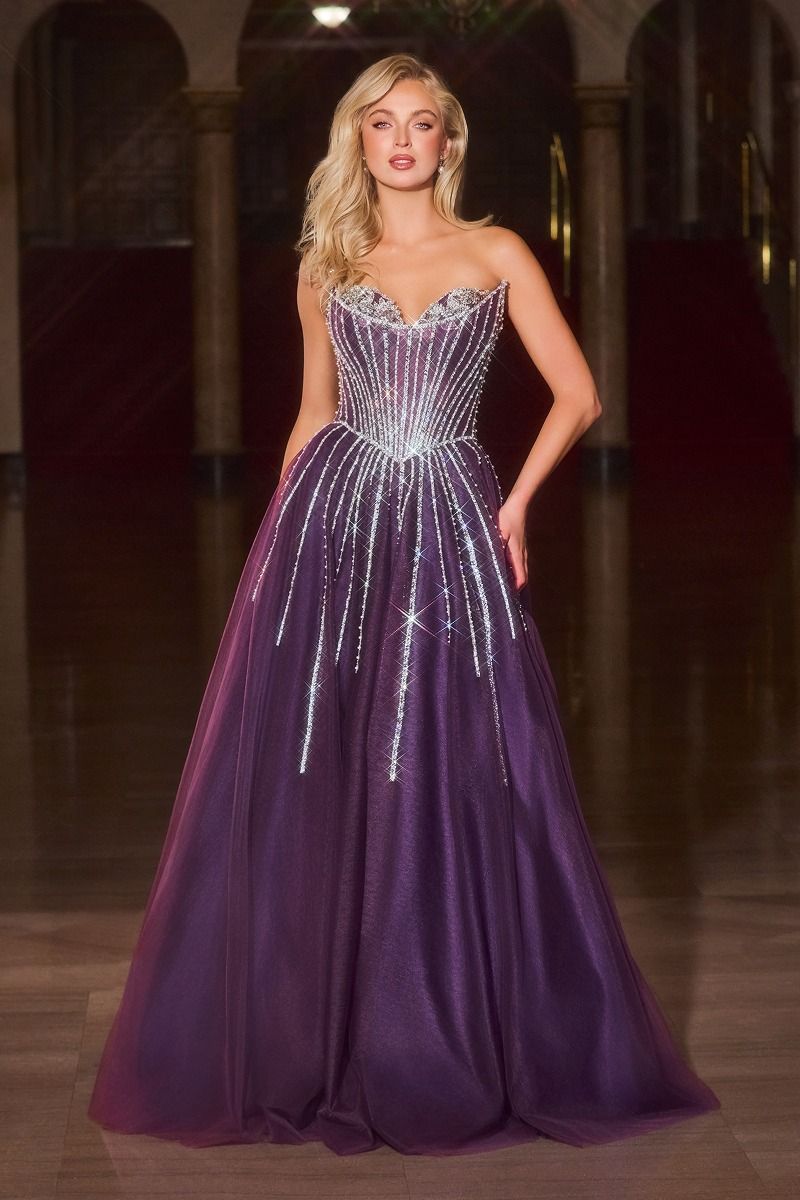 Strapless Ball Gown Beaded Bustline Linear Crystal Glitter Tulle Skirt-4