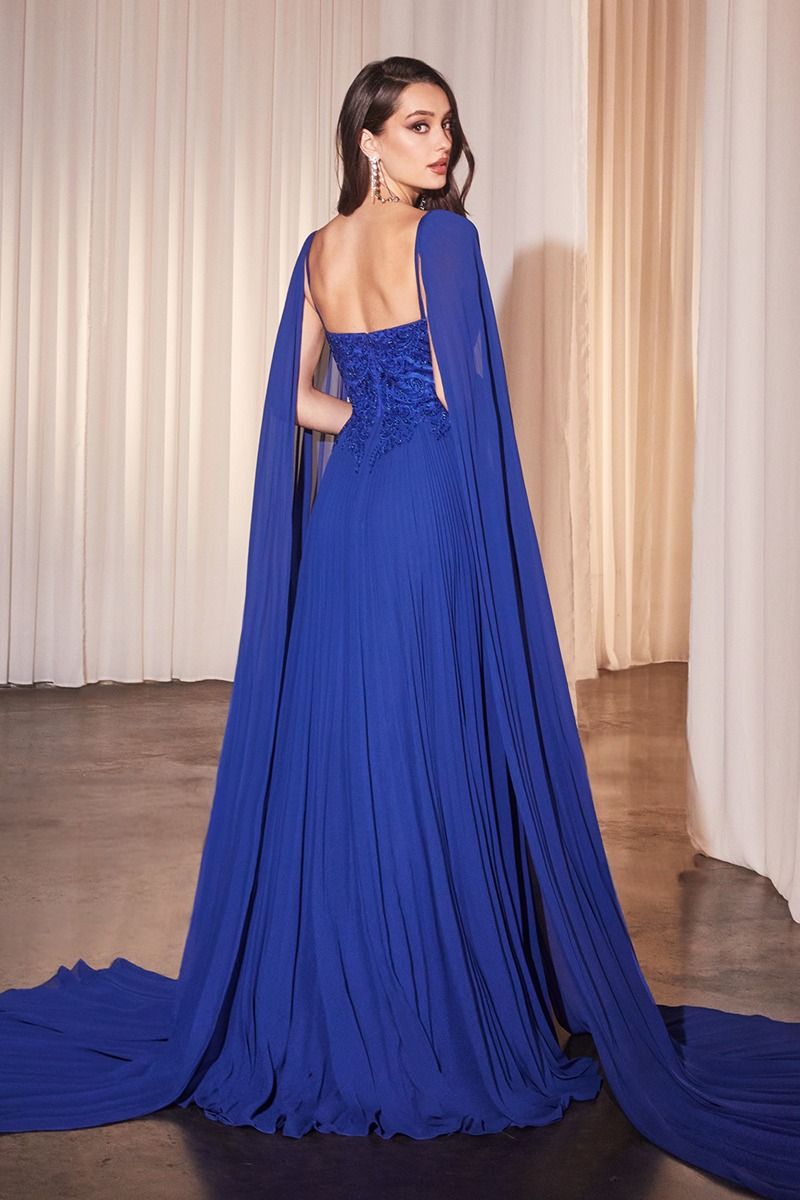 Pleated A-Line Gown With Cape Sleeves-2
