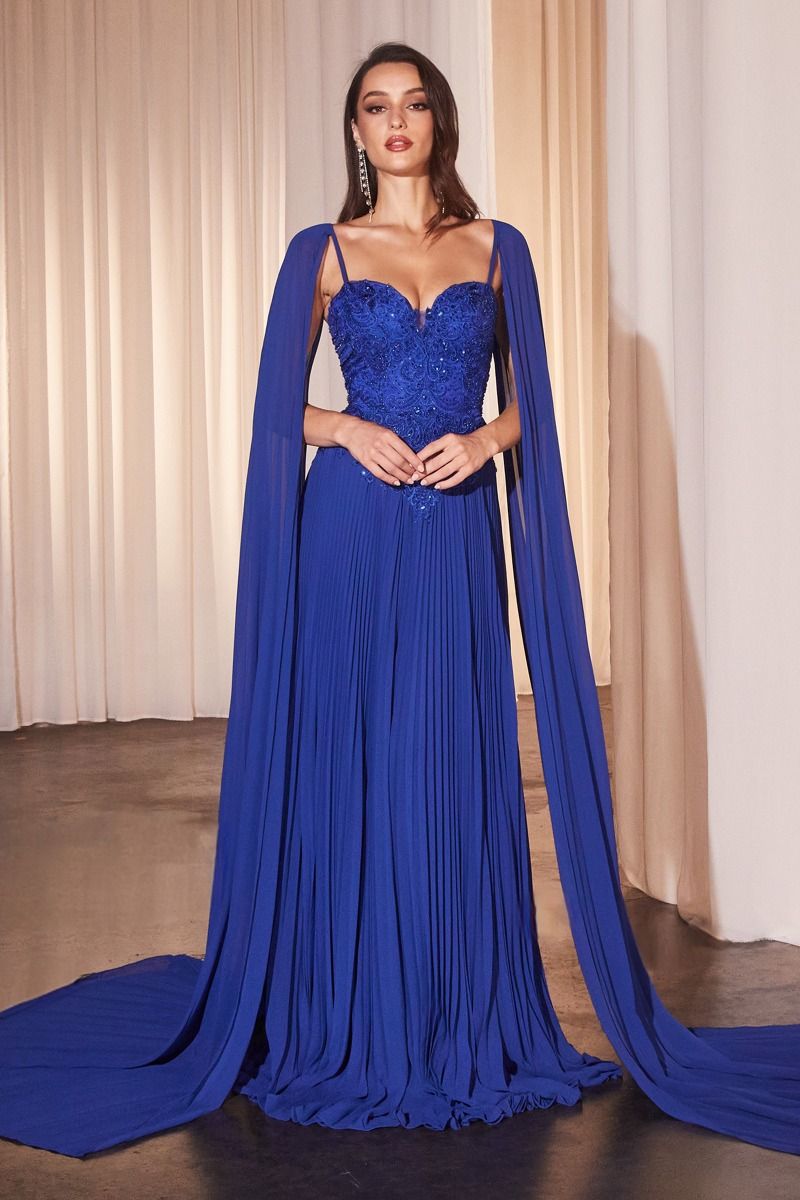 Pleated A-Line Gown With Cape Sleeves-1