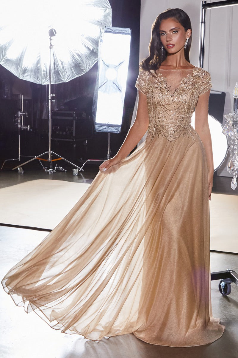 Women's Formal Gown - Elegant Evening Wear - Plus Size & Standard Fit-3