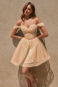Timeless Elegance Formal Gown For Grand Occasions-3