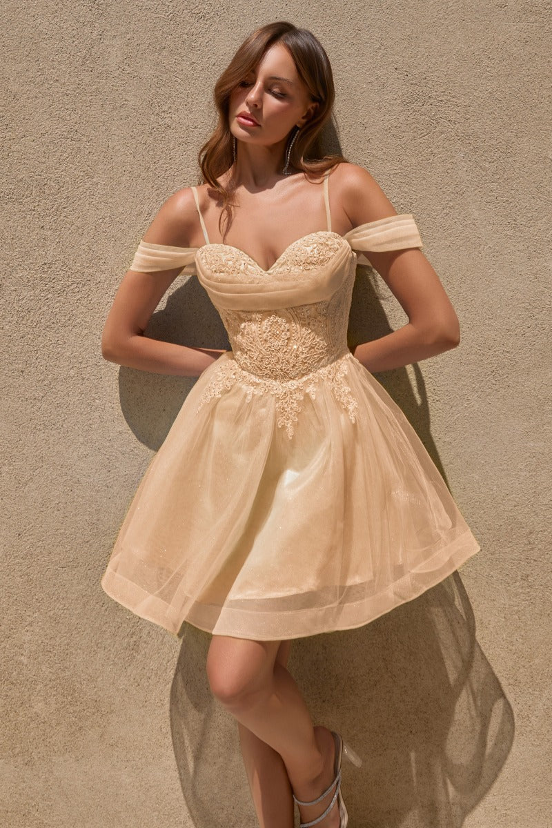 Timeless Elegance Formal Gown For Grand Occasions-3