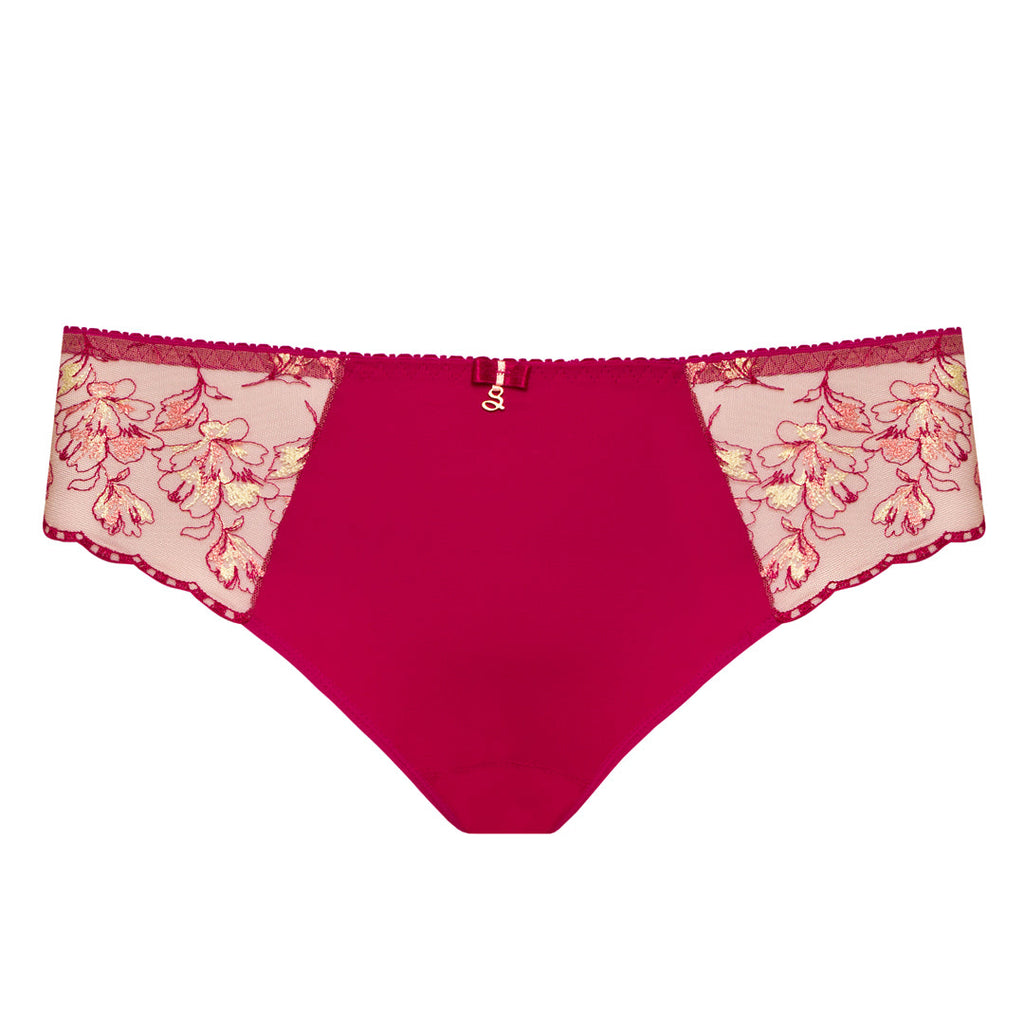 Sheer Mesh Tulle Embroidered Bikini Panty Daniela-4
