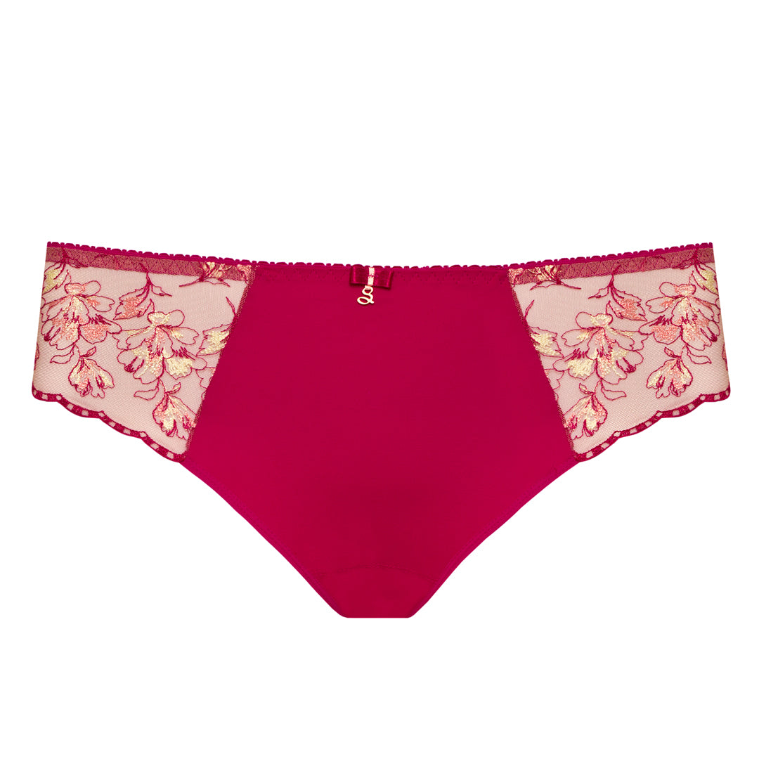 Sheer Mesh Tulle Embroidered Bikini Panty Daniela-4