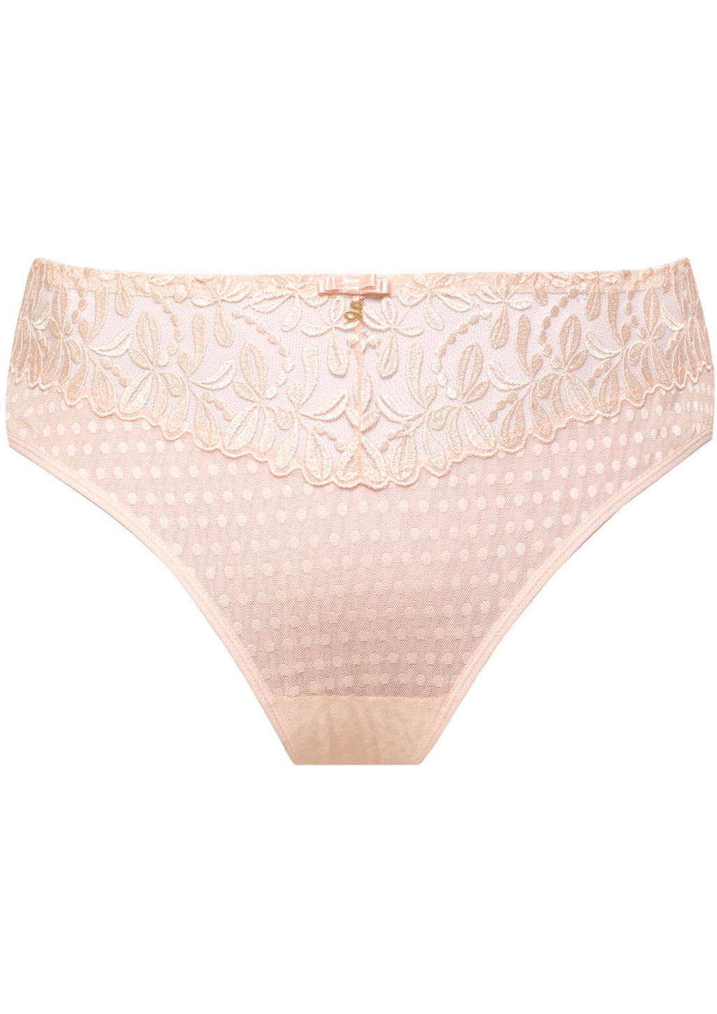 Sheer Mesh Tulle Embroidered Brief Panty Donna-4