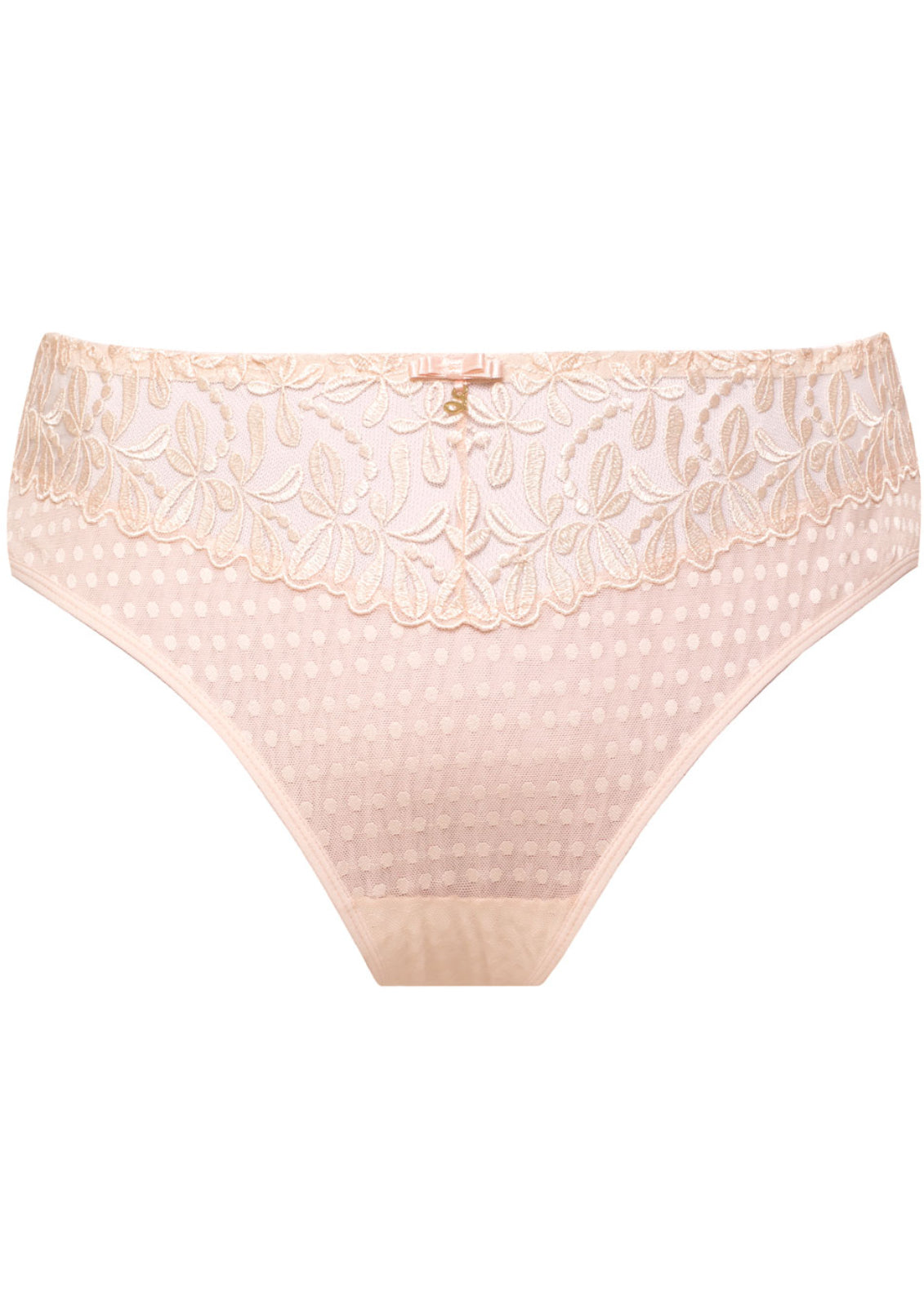 Sheer Mesh Tulle Embroidered Brief Panty Donna-4