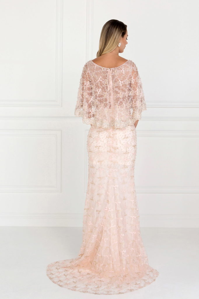 Mesh Mermaid Long Dress with Embroidered Cape Sleeves-2