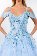 Embroidery Embellished Glitter Mesh Quinceanera Dress-3