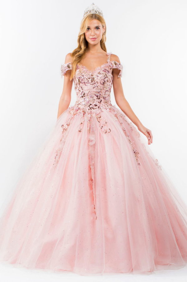 Embroidery Embellished Glitter Mesh Quinceanera Dress-4