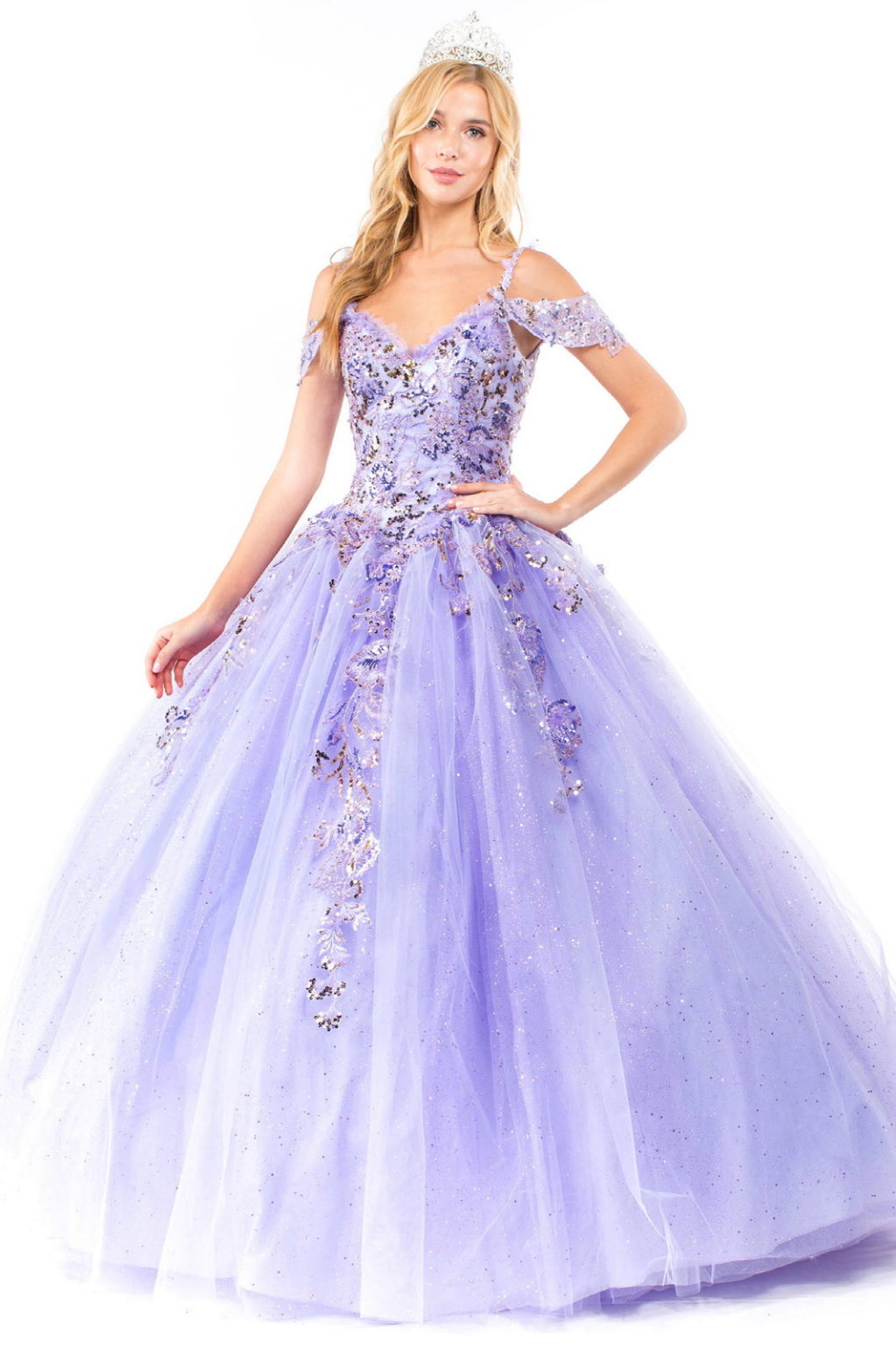 Embroidery Embellished Glitter Mesh Quinceanera Dress-1