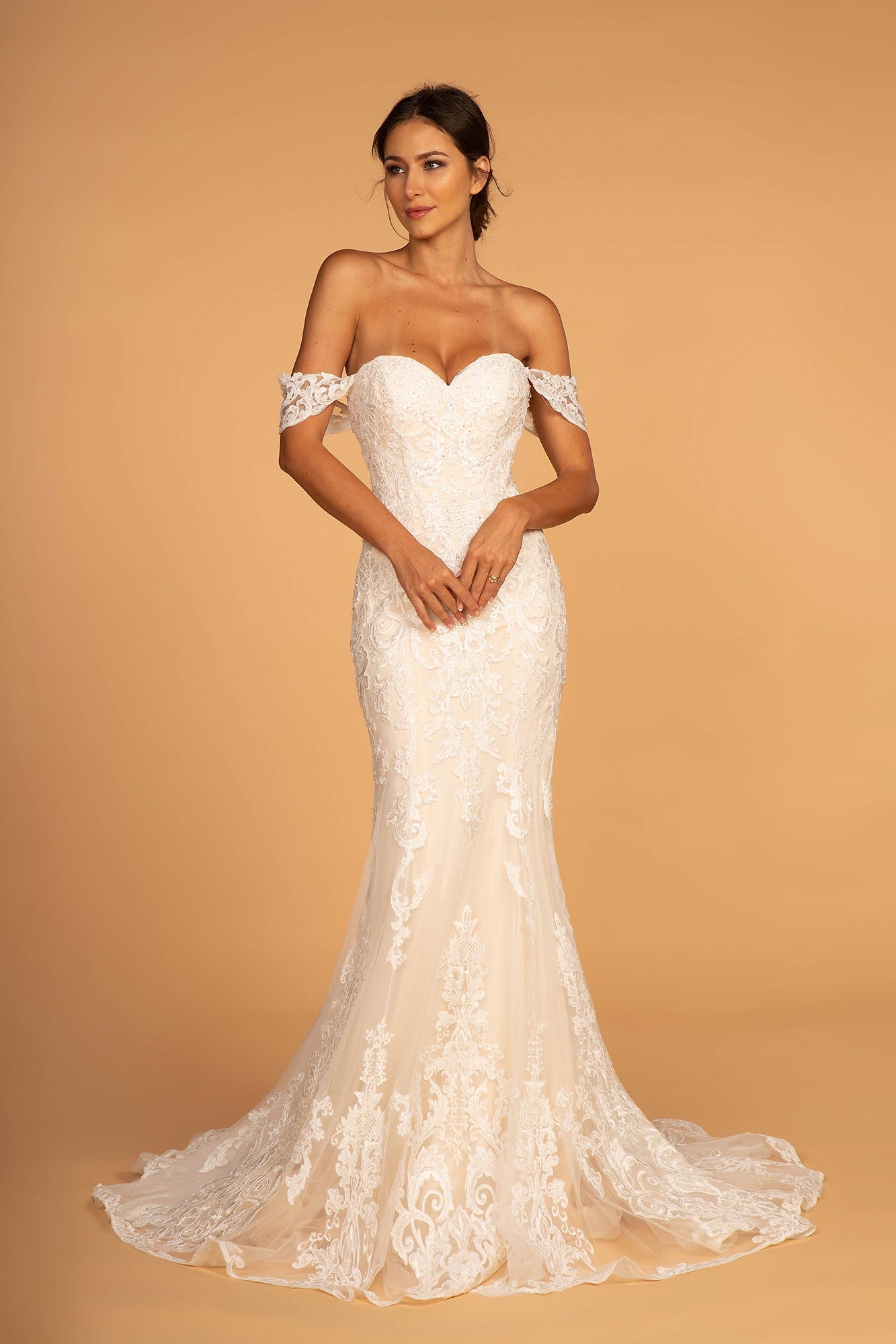 Sweethearted Embroidered Mesh Mermaid Wedding Gown-1