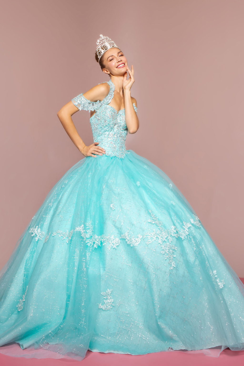 Embroidered Bodice Glitter Mesh Quinceanera Dress-1