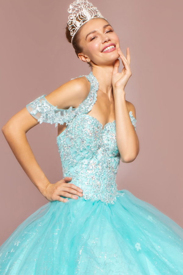 Embroidered Bodice Glitter Mesh Quinceanera Dress-3