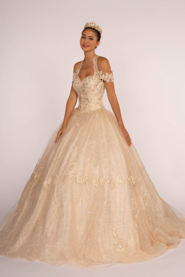 Embroidered Bodice Glitter Mesh Quinceanera Dress-0