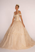 Embroidered Bodice Glitter Mesh Quinceanera Dress-0