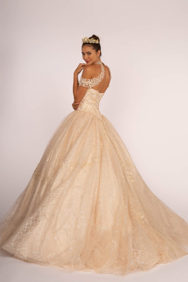 Embroidered Bodice Glitter Mesh Quinceanera Dress-1