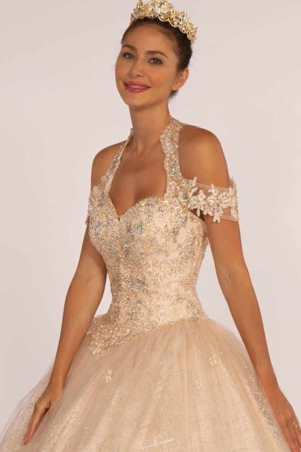 Embroidered Bodice Glitter Mesh Quinceanera Dress-2