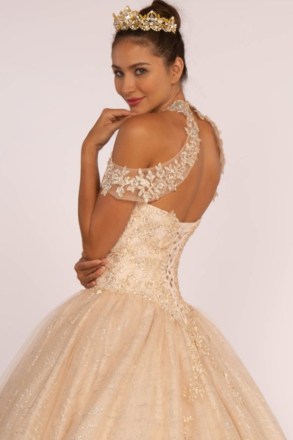 Embroidered Bodice Glitter Mesh Quinceanera Dress-3