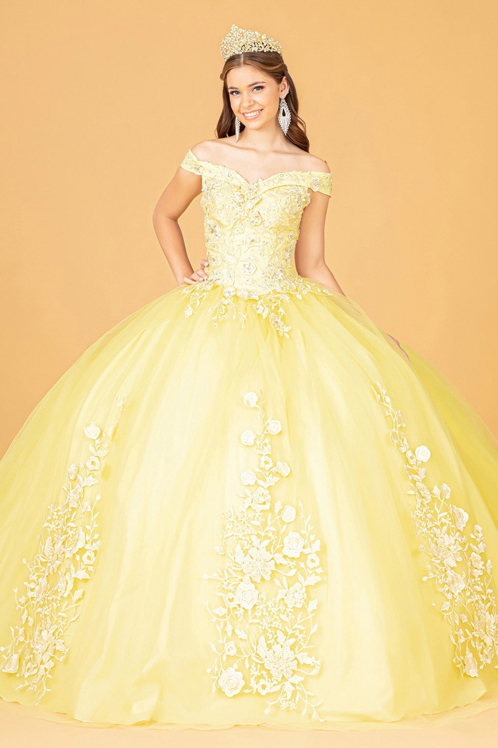 Floral Embroidery and Jewel Embellished V-Neck Mesh Ball Gown-1