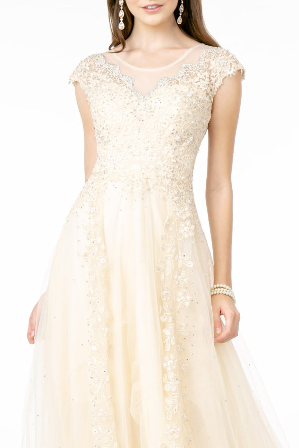 Embroidered Mesh A-Line Long Dress w/ Sheer Back-2